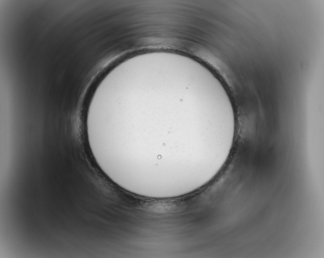 X0000091661074200709201140