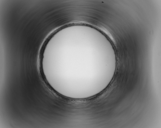 X0000091661076200709201140