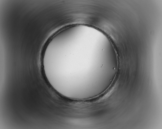 X0000091661077200709201140