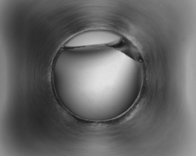 X0000091661081200709201140