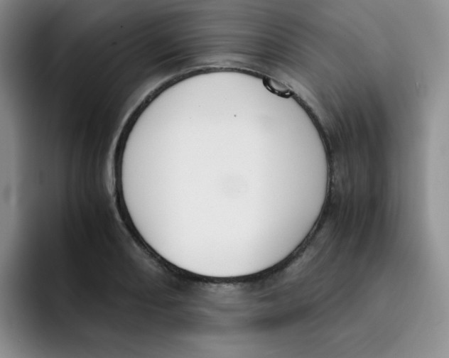X0000091661082200709201140