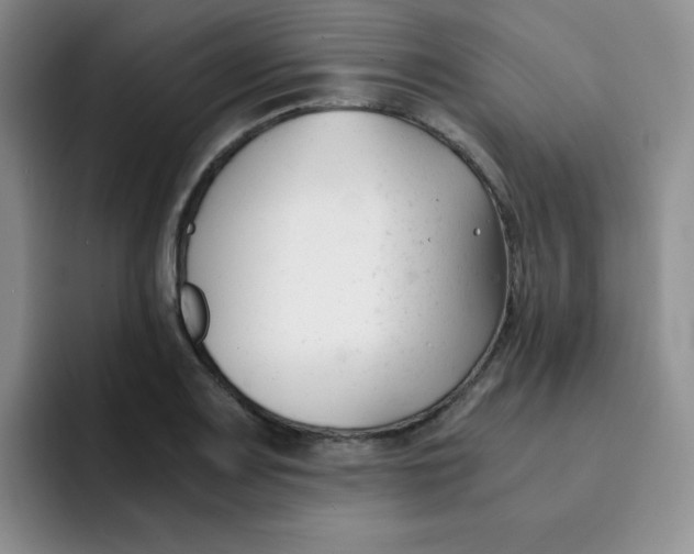 X0000091661083200709201140
