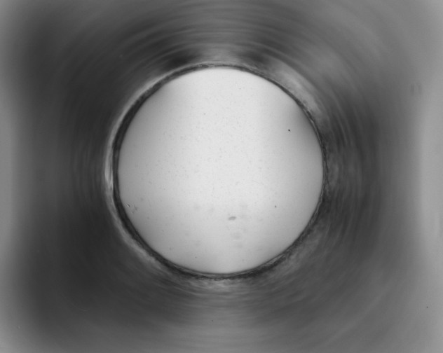 X0000091661084200709201140