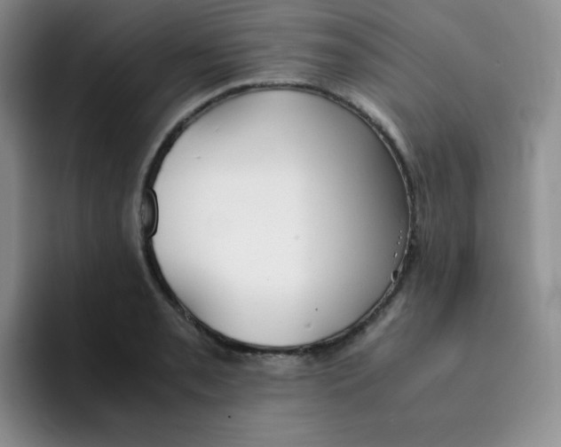 X0000091661085200709201140