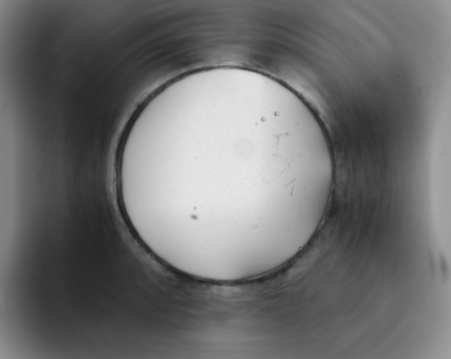 X0000091661088200709201140