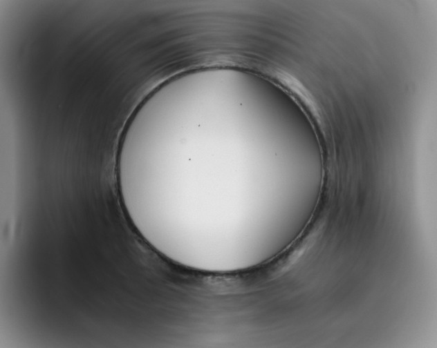X0000091661089200709201140