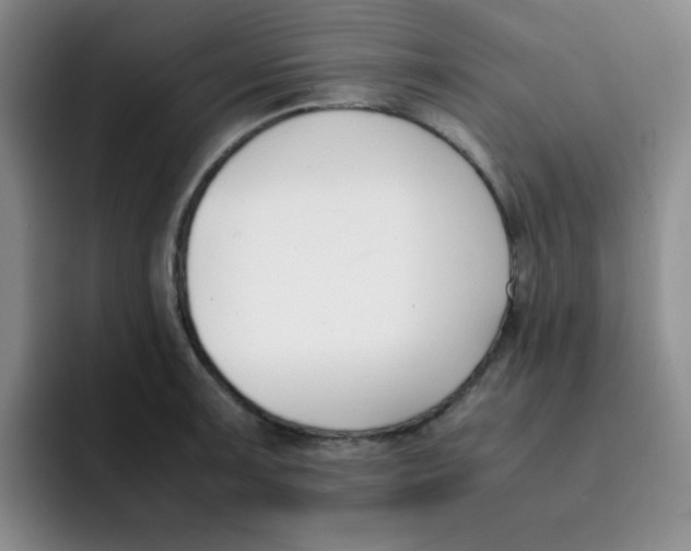 X0000091661091200709201140