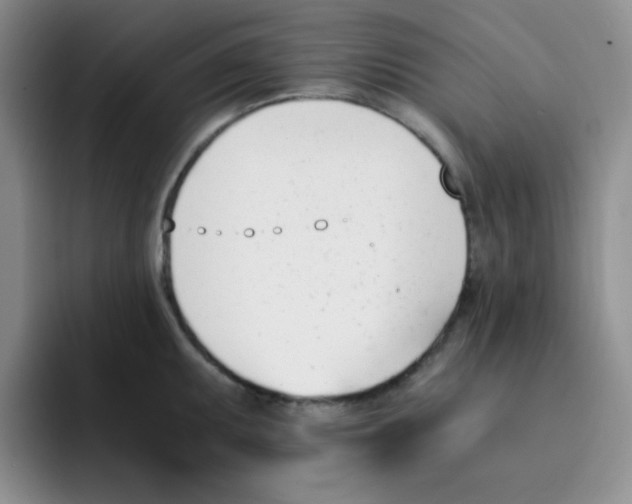 X0000091661095200709201140