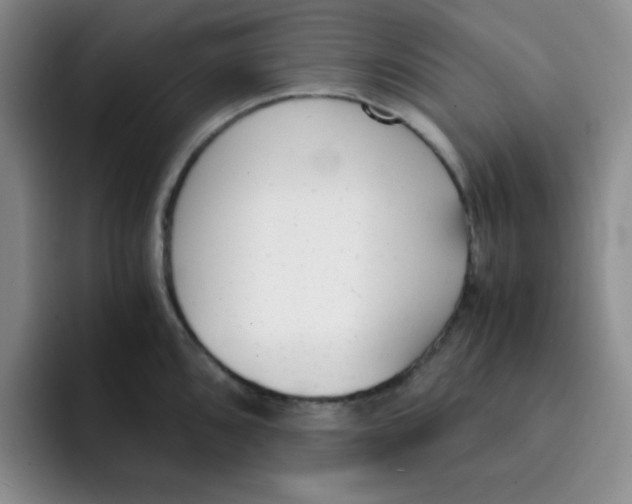 X0000091661096200709201140