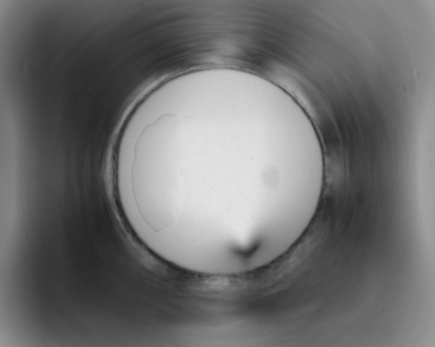 X0000091661098200709201140