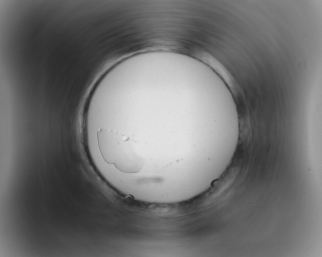 X0000091661099200709201140
