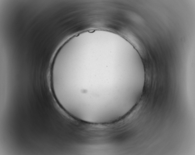 X0000091661100200709201139
