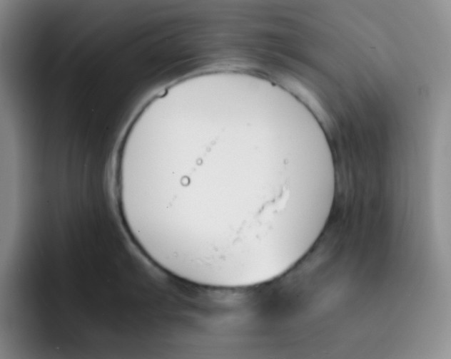 X0000091661103200709201139