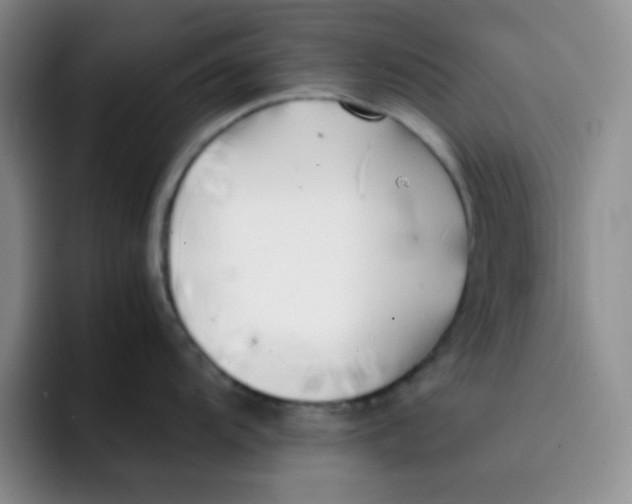 X0000091661104200709201139
