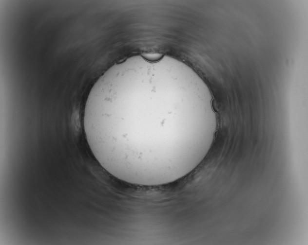 X0000091661106200709201139