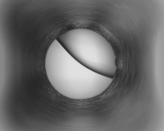 X0000091661108200709201139