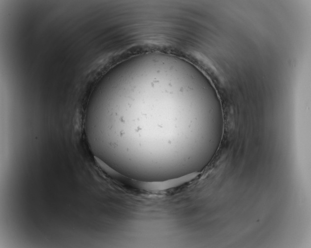 X0000091661110200709201139