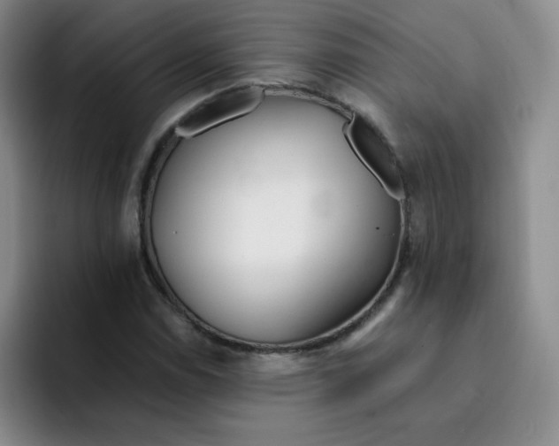 X0000091661114200709201139
