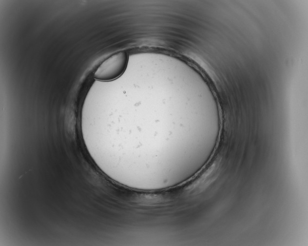 X0000091661115200709201139