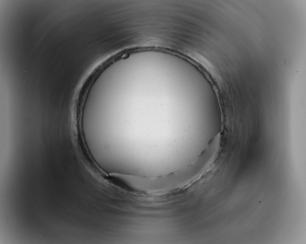 X0000091661120200709201139