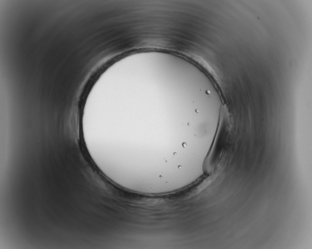 X0000091661123200709201139