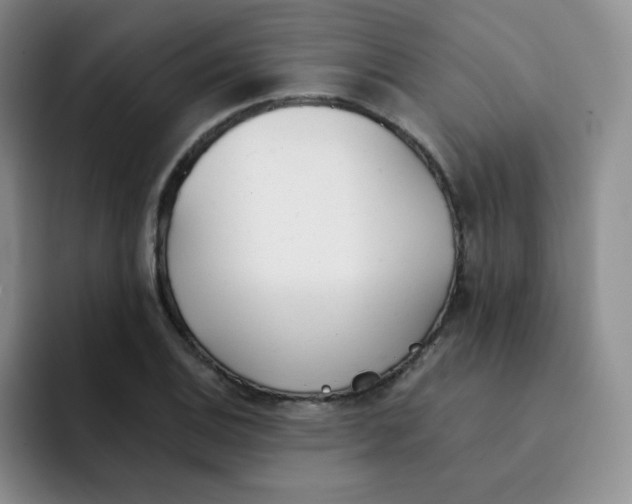 X0000091661124200709201139