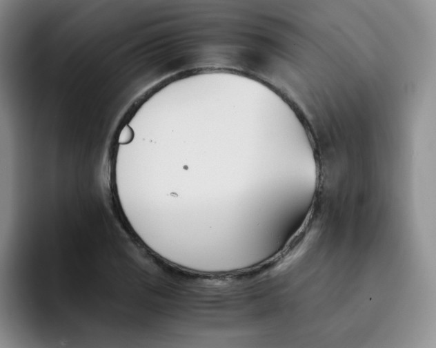 X0000091661125200709201139