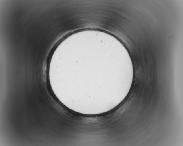 X0000091661126200709201139