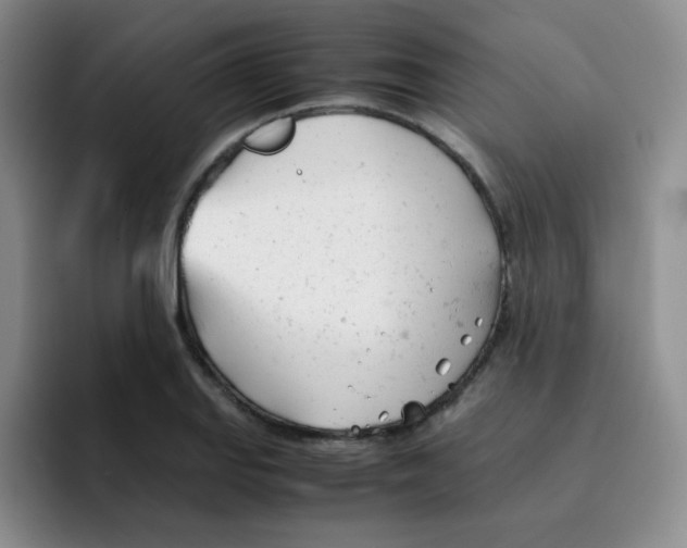 X0000091661127200709201139