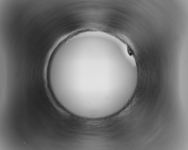 X0000091661128200709201139