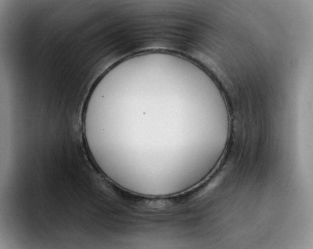 X0000091661129200709201139