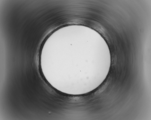 X0000091661130200709201139