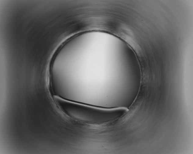 X0000091661132200709201139