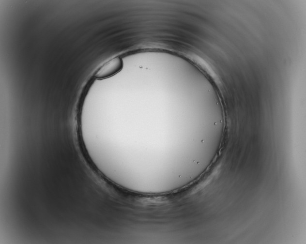 X0000091661133200709201139