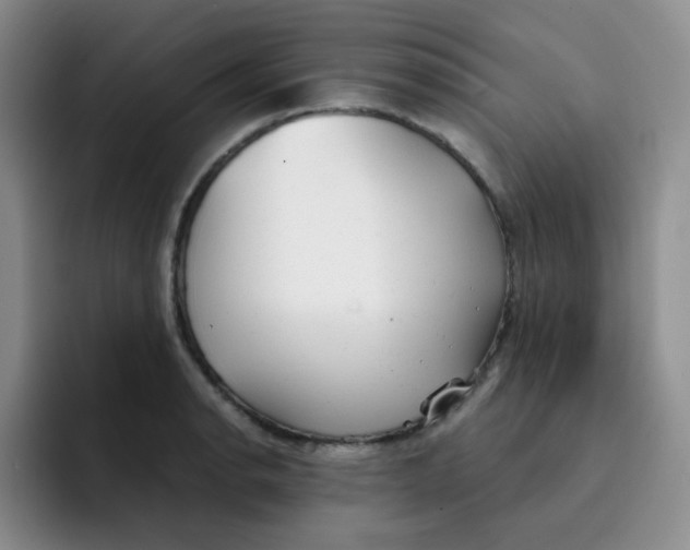 X0000091661134200709201139