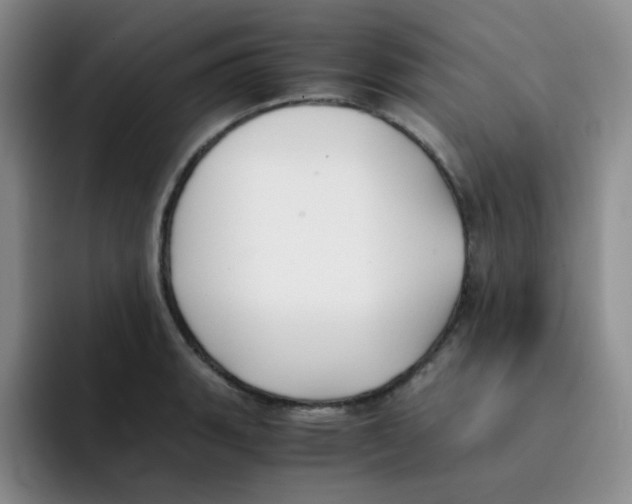 X0000091661135200709201139