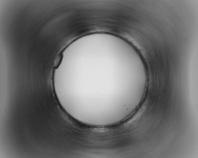 X0000091661137200709201139