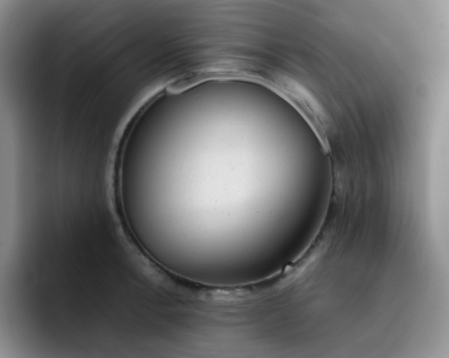 X0000091661138200709201139