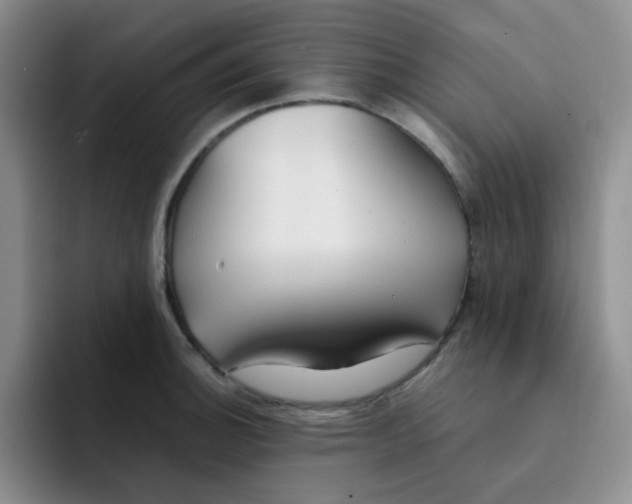 X0000091661140200709201139