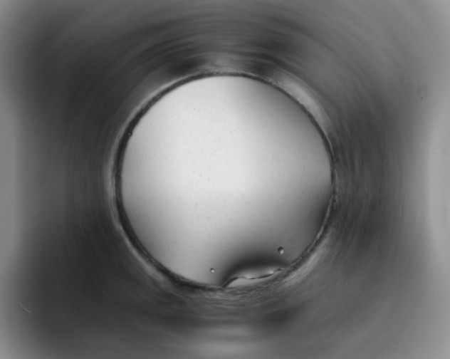X0000091661141200709201139