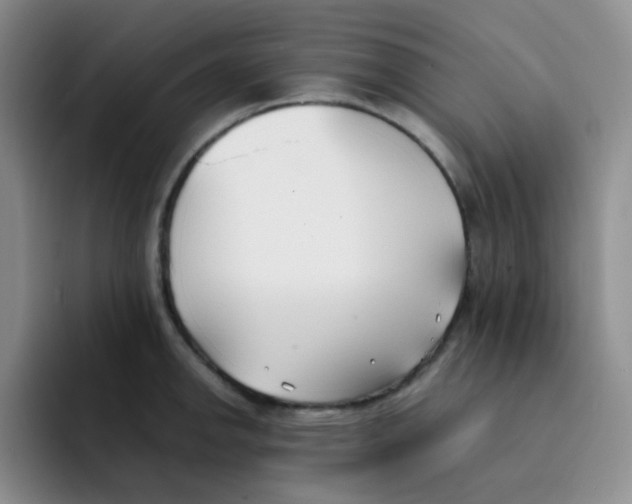 X0000091661142200709201139