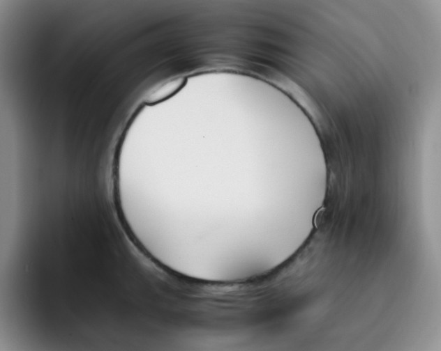X0000091661143200709201139