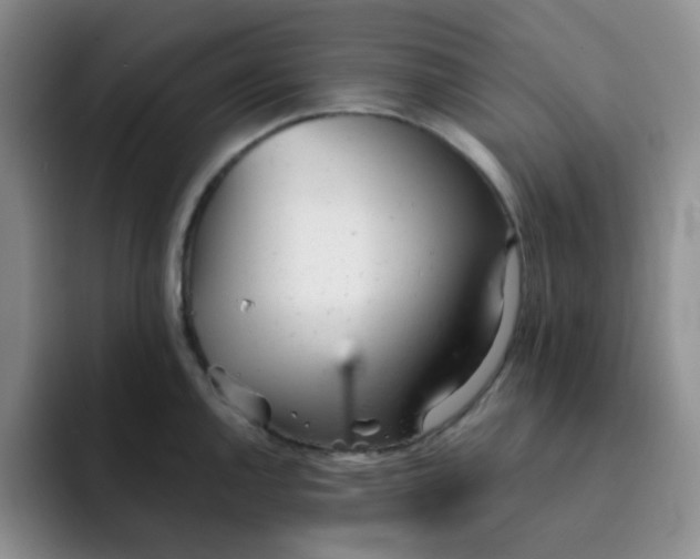 X0000091661144200709201139