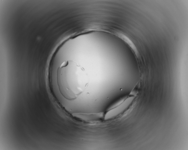 X0000091661146200709201139
