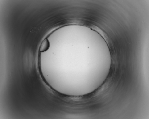 X0000091661147200709201139