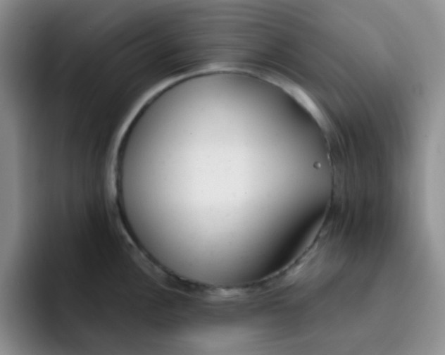 X0000091661148200709201139