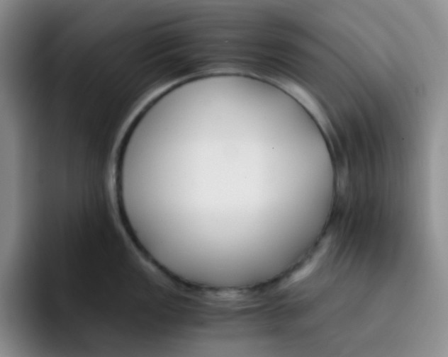 X0000091661149200709201139