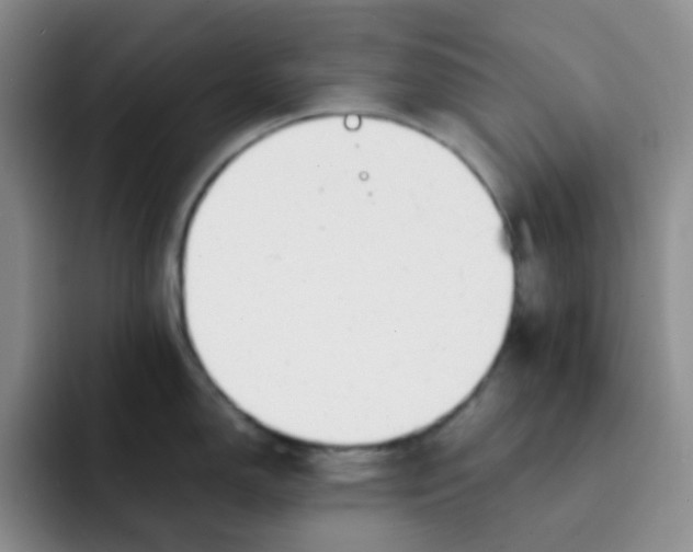 X0000091661150200709201139