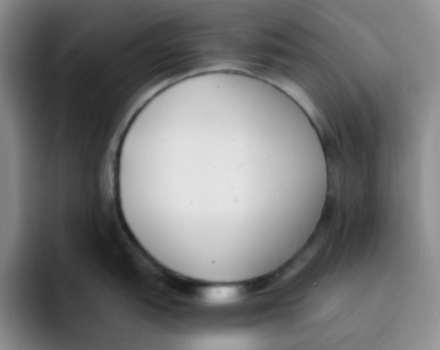 X0000091661151200709201139