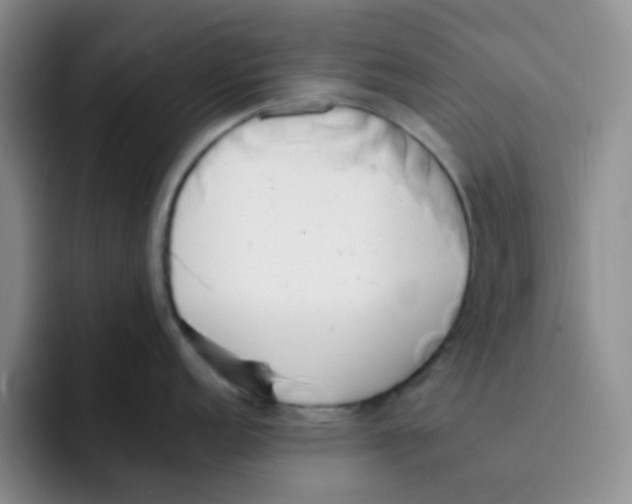 X0000091661152200709201139